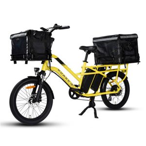 KK2015 Electric Cargo Bike for Delivery